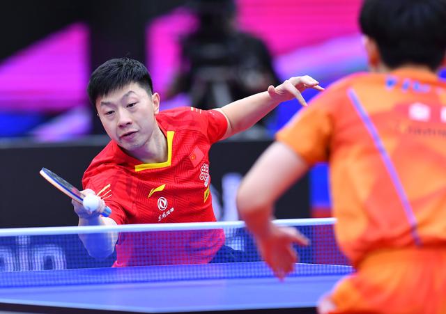 与的新人 与的新人