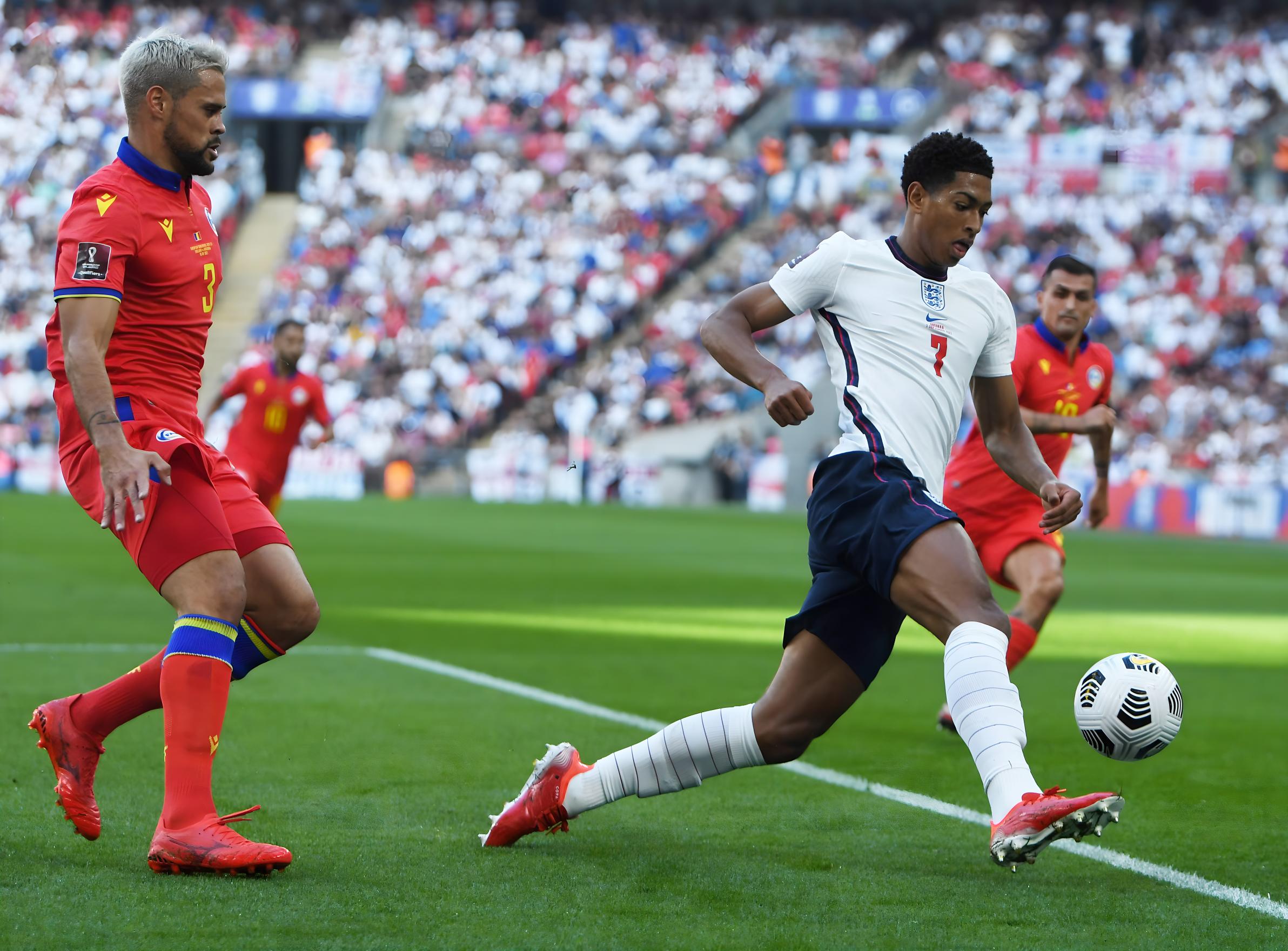 了最受关注 了最受关注