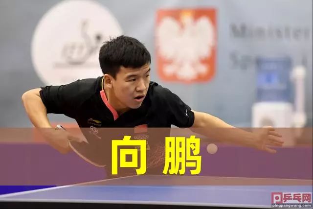 紫金军团 紫金军团